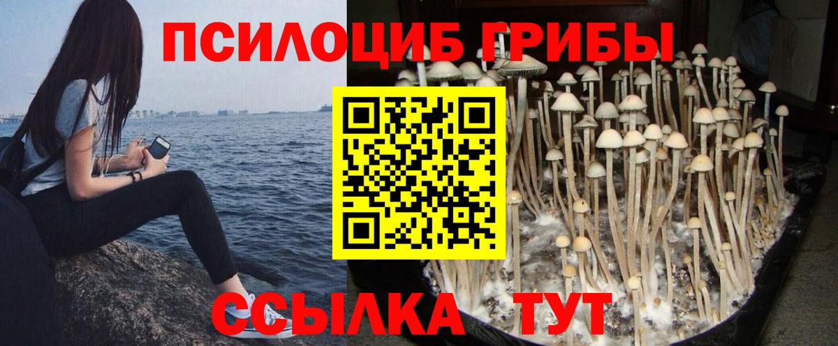 Галлюциногенные грибы Magic Shrooms Нижний Тагил